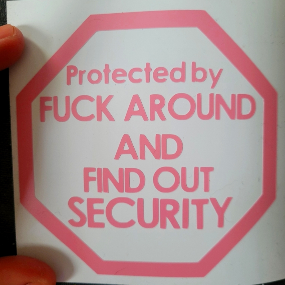 Protected by F around and find out security permanent vinyl pink